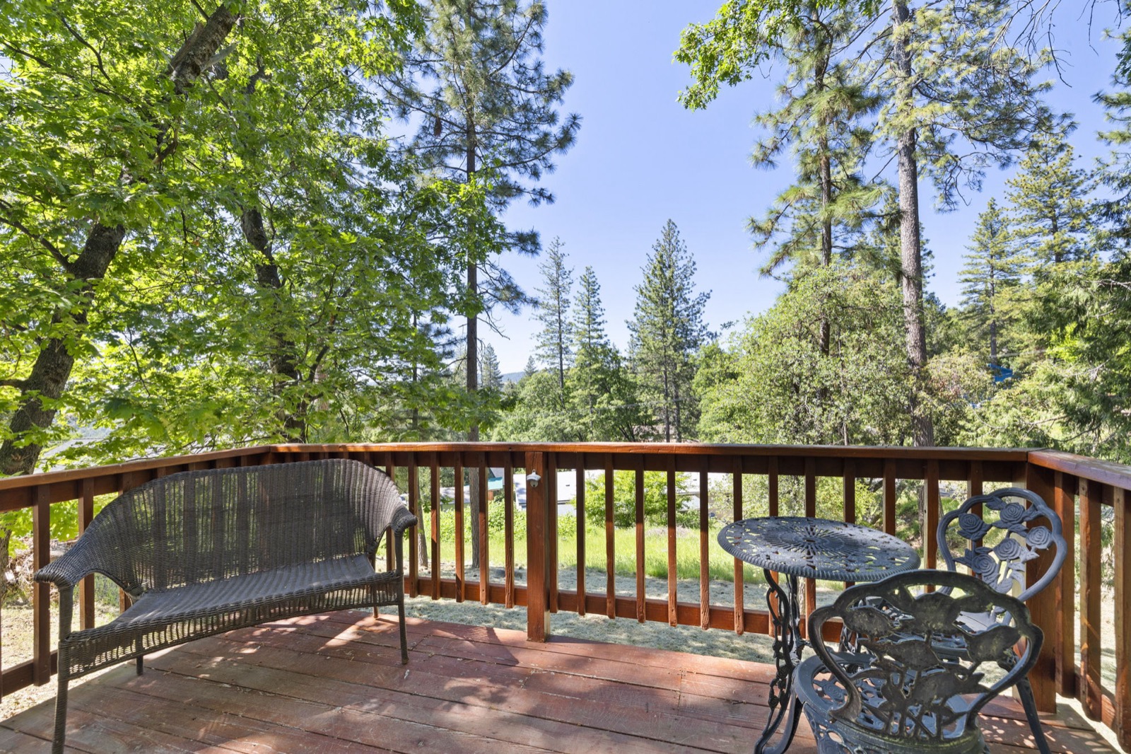 Deck under the pines