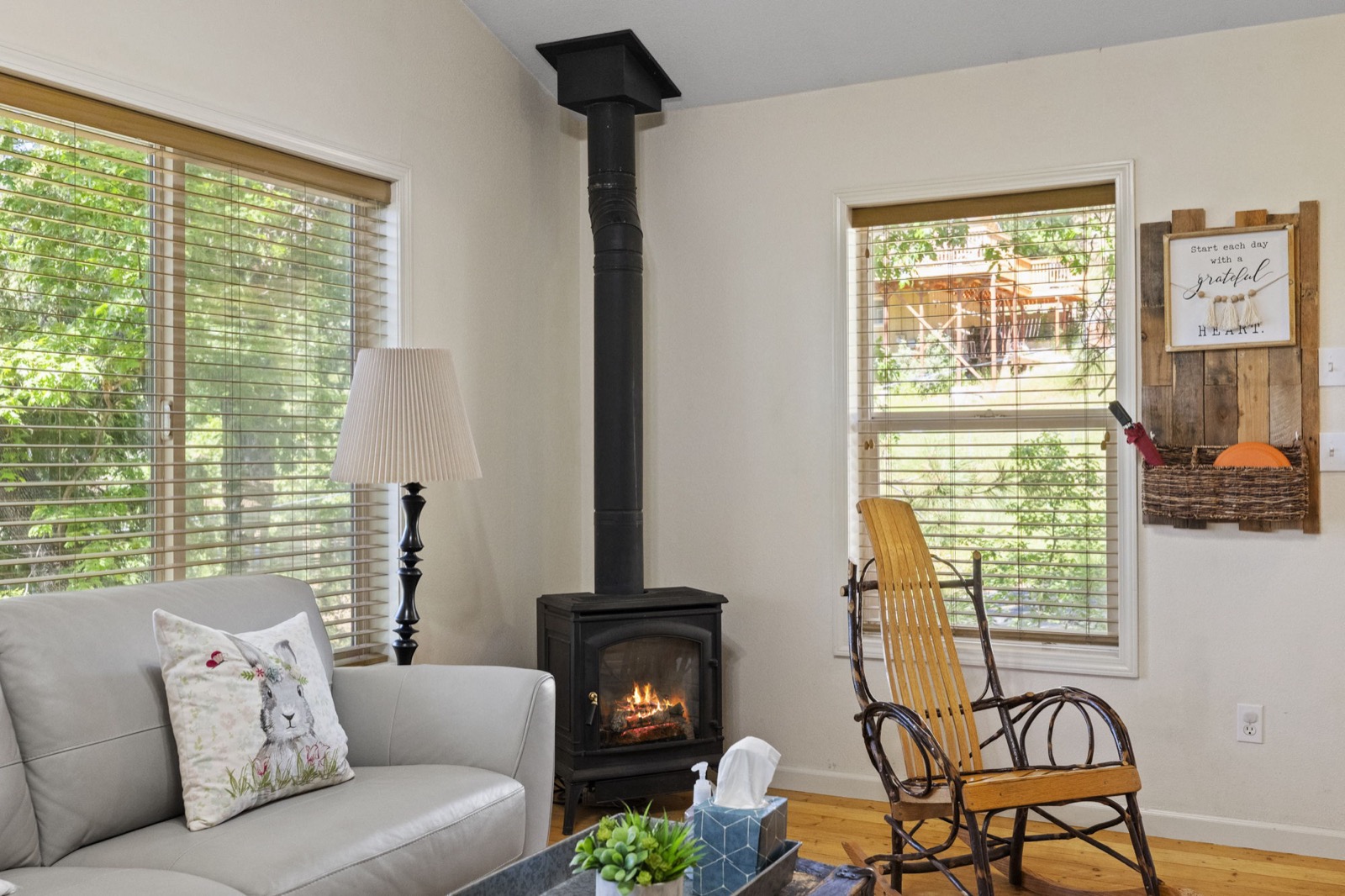 Living room with fireplace
