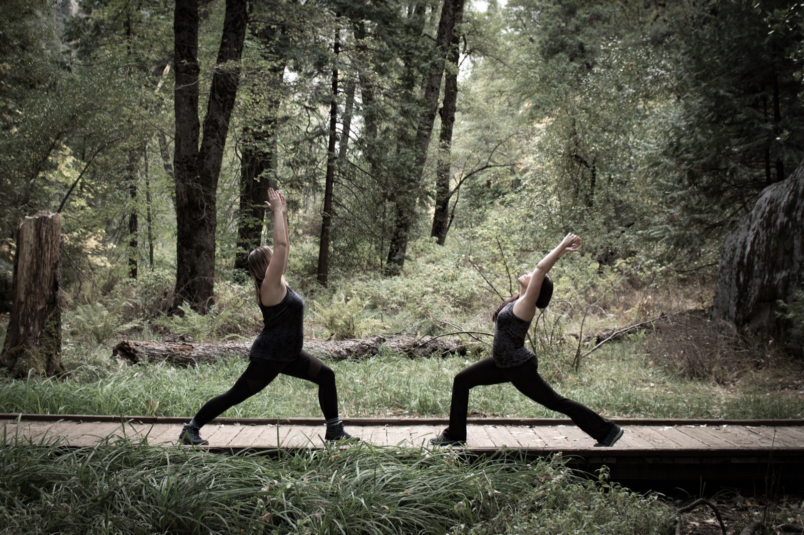 Two people practicing yoga in a Sierra forest